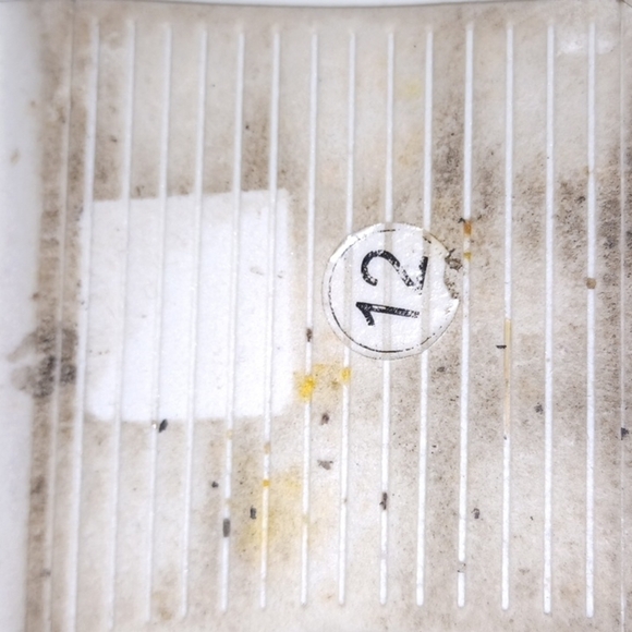 Amali Canvas Sneakers Tennis Shoes Size 12 - Fun In The Sun - Picture 7 of 8